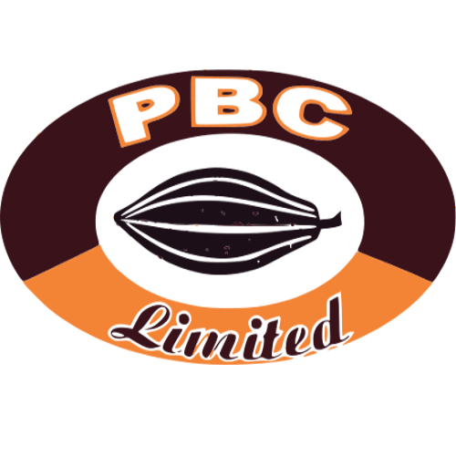 the-banks-will-struggle-over-pbc-inability-to-pay-$300m-debt-–-analyst