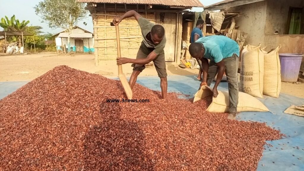 cocobod-counters-imf,-world-bank;-says-it-will-meet-expected-yields