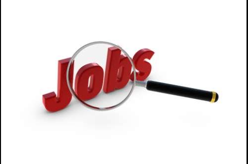 qualification-vrs-connection:-which-one-secures-jobs-faster?