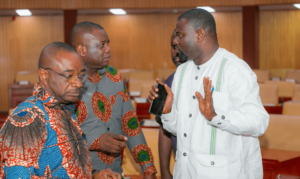 increase-your-sense-of-tolerance-–-annoh-dompreh-tells-minority