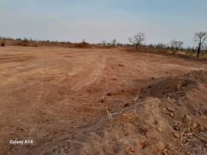 climate-change:-peasant-farmers-in-savelugu-fear-losing-farmlands