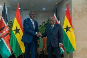 akufo-addo-discusses-intra-african-trade-and-joint-co-operation-with-kenyan-president-ruto