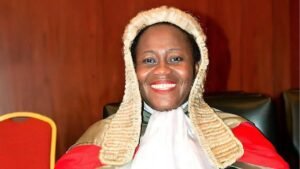 cj-calls-on-judiciary-to-close-gap-of-‘exploitation-and-rent-seeking-behaviour’-court-users-face