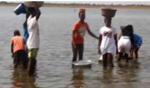 volta-region:-residents-of-dekpo-horme-share-dam-water-with-animals