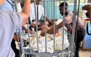 dog-mauls-sleeping-baby-in-accra;-tears-off-body-parts