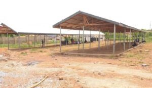 kwadaso-onion-traders-refuse-to-occupy-new-market-at-atwima-takyiman