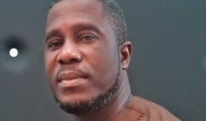 your-comments-on-‘dumsor’-are-misleading-–-ies-boss-tells-akufo-addo