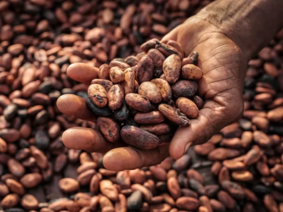  man,-38,-jailed-7-years-for-cocoa-smuggling