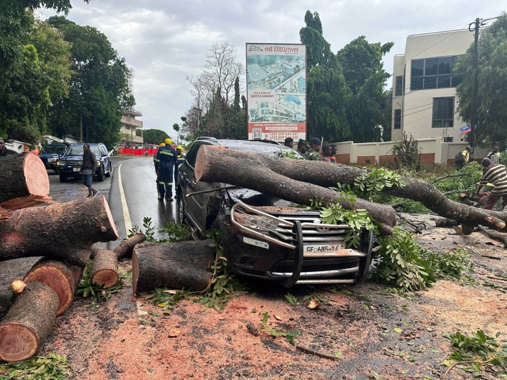 heavy-rainstorm-in-accra-uproots-trees;-causes-roadblocks-and-damage-to-cars