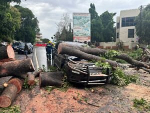 heavy-rainstorm-in-accra-uproots-trees;-causes-roadblocks-and-damage-to-cars