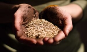 world-bank-earmarks-$45-billion-to-tackle-food-insecurity