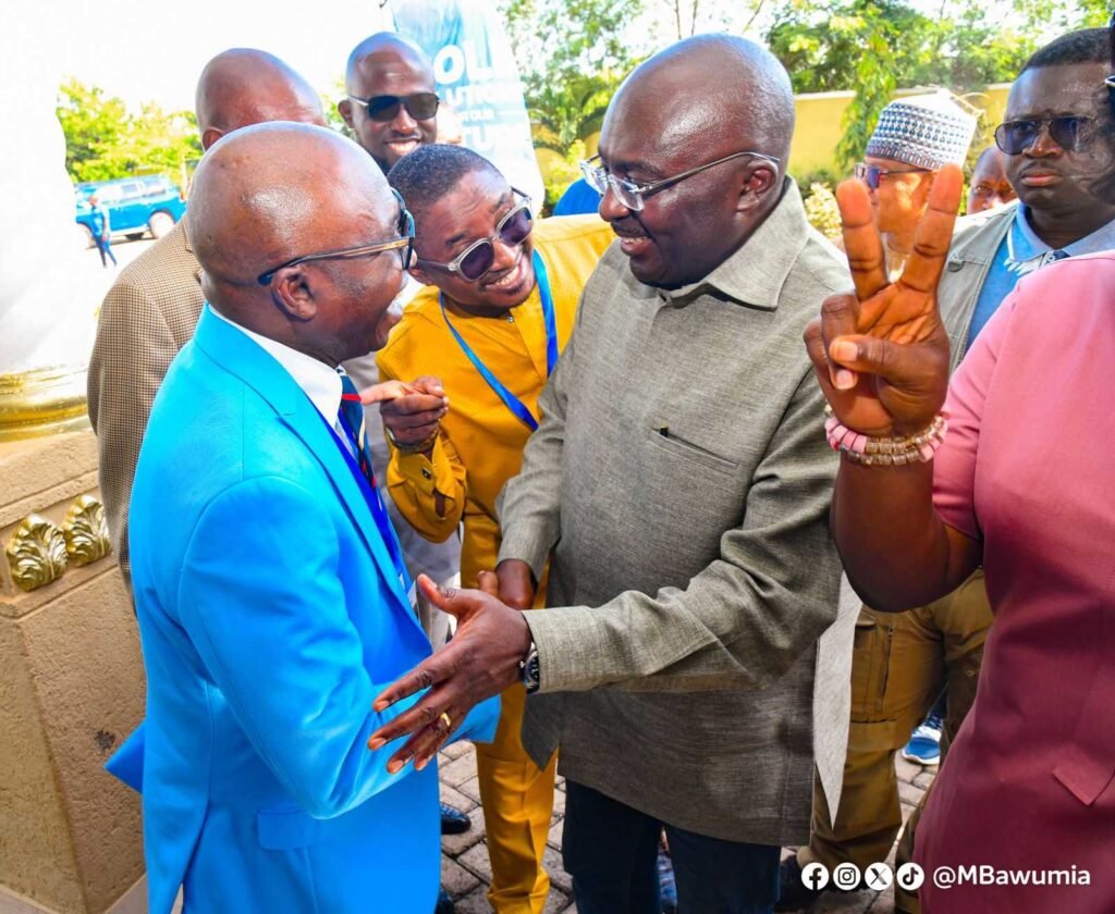 i-will-establish-common-user-processing-facilities-to-promote-sustainable-mining-dr.-bawumia
