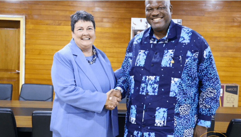 interior-ministers-assures-us-ambassador-of-a-peaceful-election-this-year