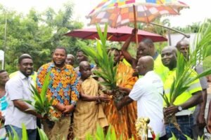 60k-more-oil-palm-seedlings-planted-to-rescue-degraded-ashanti-lands