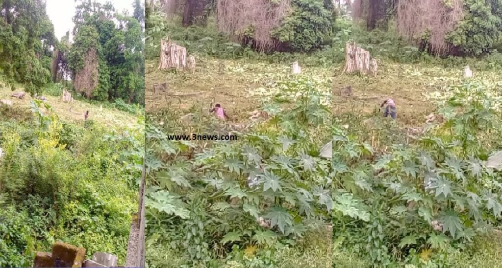 wassa-amenfi-east:-fear-grips-residents-as-they-witness-serial-grave-desecration