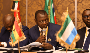 private-sector-financing-key-to-development-agenda-–-amin-adam