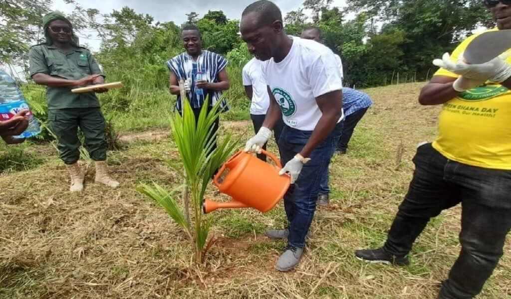 green-ghana-day-is-not-enough-–-tamale-north-mp
