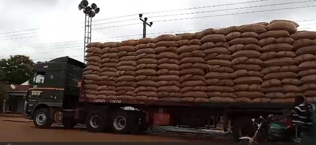 court-strikes-out-cocoa-smuggling-case-for-lack-of-capacity