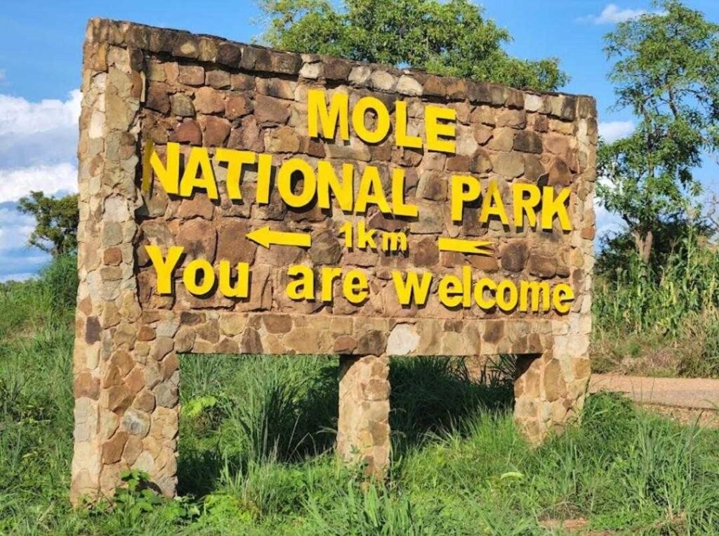 wildlife-conservation:-rangers-at-mole-national-park-arrest-poacher