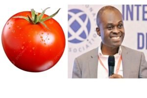 settling-the-debate:-is-tomato-a-fruit-or-a-vegetable?