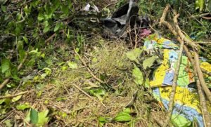 death-of-abandoned-woman-in-gomoa-ojobi-haunts-residents