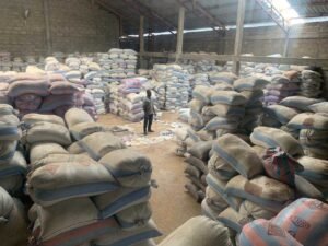 abandoned-rice-in-asutsuare:-farmers-suffer-from-lack-of-market-to-sell-produce