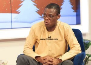 2024-elections:-npp-depending-on-two-regions-but-ndc-has-the-whole-country-–-fifi-kwetey