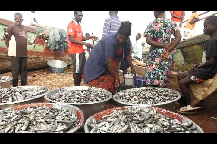 closed-fishing-season-commences