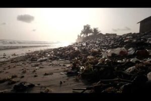 tema-fishermen-call-for-permanent-ban-on-plastic-production