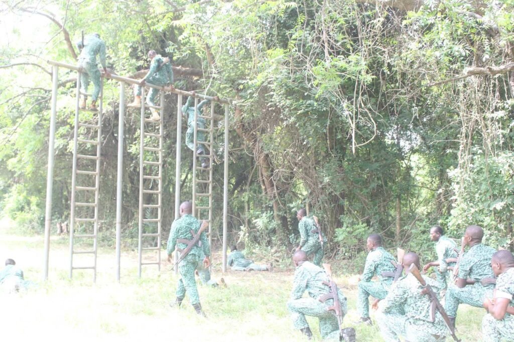 forestry-commission-trains-more-field-staff-to-combat-illegal-chainsaw-activities