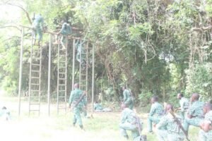 forestry-commission-trains-more-field-staff-to-combat-illegal-chainsaw-activities