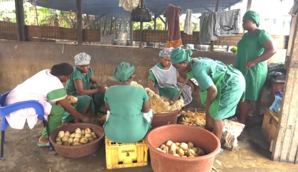 ‘government-delays-in-paying-us-because-we-are-nobody’-–-school-feeding-caterers