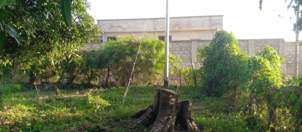 filling-station-development-halted-on-parks-and-gardens-land-in-wa