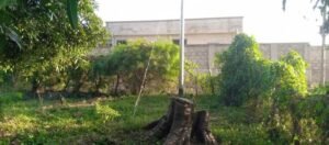 filling-station-development-halted-on-parks-and-gardens-land-in-wa