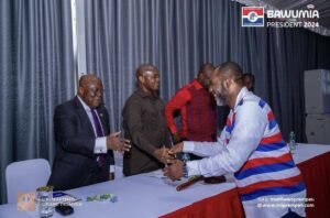 napo-is-bold-&-assertive;-ndc-has-strategically-chosen-to-interpret-these-as-arrogance-–-ahiagbah