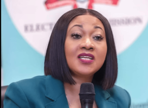 2024-elections:-all-activities-undertaken-so-far-have-been-very-successful-and-inclusive-–-ec-chair