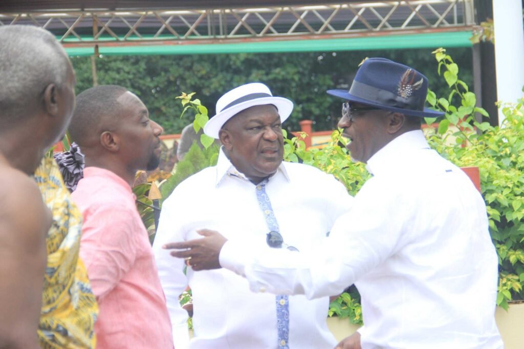 photos:-unveiling-of-‘napo’-–-npp-big-wigs-storm-manhyia-palace