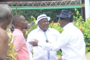 photos:-unveiling-of-‘napo’-–-npp-big-wigs-storm-manhyia-palace