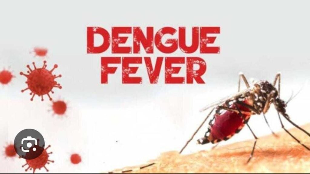ghs-declares-outbreak-of-dengue-fever,-confirms-9-cases-in-eastern-region