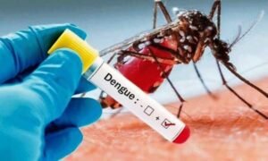 ghana-health-service-highlights-ongoing-activities-to-fight-dengue-outbreak