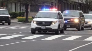 withdrawal-of-siren-li.:-if-mps-find-themselves-in-traffic,-they-will-find-a-solution-–-ndc-mp 