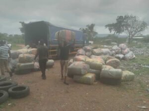 ho:-joint-security-personnel-destroy-indian-hemp-and-unwholesome-goods