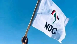 ndc-campaign-launch:-we-will-win-not-less-than-14-seats-in-the-north-–-murtala