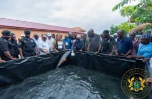 akufo-addo-launches-‘aquaculture-for-food-and-jobs-programme’
