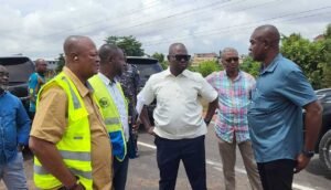 building-on-wetlands:-roads-and-highways-minister-unhappy-with-officials-of-district-assemblies