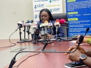 affirmative-action-bill-has-not-been-submitted-to-akufo-addo-yet-–-gender-minister