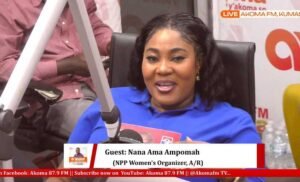 npp-ashanti-regional-women’s-wing-poised-for-victory-in-2024-–-organiser 