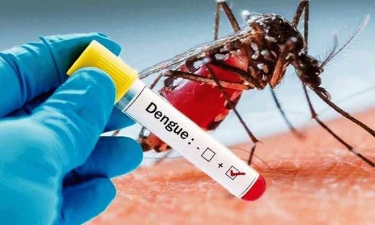 over-100-dengue-fever-cases-recorded-in-6-regions-–-ghana-health-service