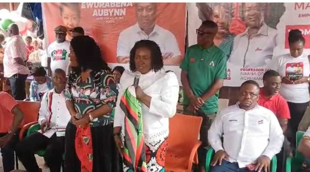 ignore-npp’s-promise-of-women’s-trade-empowerment-fund-–-naana-jane-tells-traders