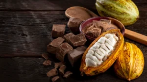 cocoa-syndicated-loan-was-already-flawed-and-unnecessary-–-iea’s-kwakye